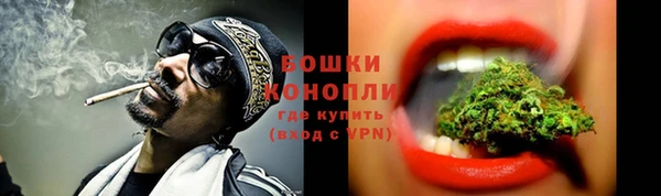ECSTASY Белокуриха